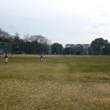 多目的広場（野球場２面）