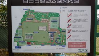 市民の憩いのスポットです。