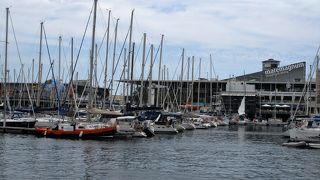 さすがに広いです