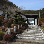 枝垂桜で有名なお寺です