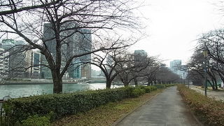 景色の良い大きな公園