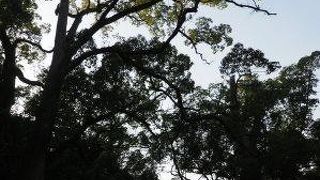 橋１つ渡っただけなのにけっこう違いはあるもので。