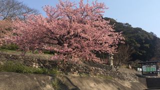 長篠城から直ぐ