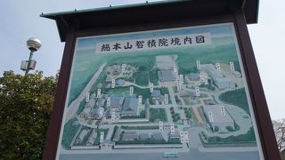 人が少なくて、見学がしやすかったです