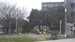 間もなく桜の季節です