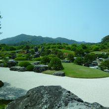 どこを切り取っても、手入れの行き届いたお庭。