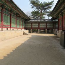 いつかの韓国時代劇で見たようなお庭です。実際あったんですね