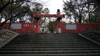 大阪最古にして日本総鎮守の神社です