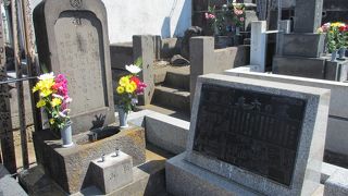 新宿の基礎を作った方です