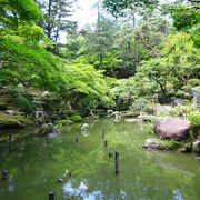 紫陽花が見頃だった（徳明園）