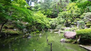 紫陽花が見頃だった（徳明園）