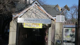 午前中がおすすめ