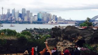 有名スポット キリンとオペラハウス