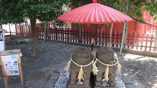 ひっそりと，かわいい狛犬