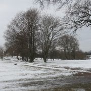 海沿いの公園 