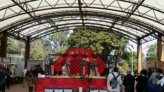 はじめての大島