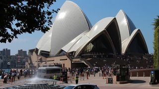 実際に近くでみると『白』くはないんですよね（笑）