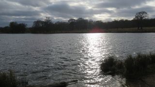 友人夫婦と初めて散歩