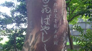 お囃子を見に行ってきました。