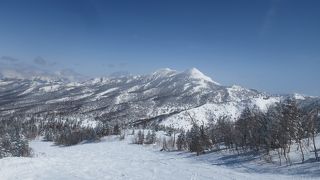 降雪後の姿は幻想的