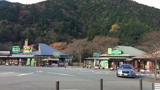 ”生わさび”を「道の駅 天城越え」～伊豆市～