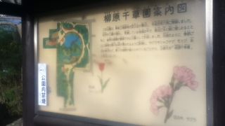 様々な草花が見れる