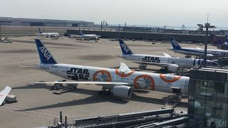 飛行機を見に