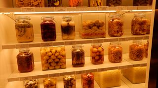 観光客向けには値段程の展示はないです