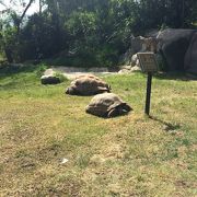 割と普通の動物園