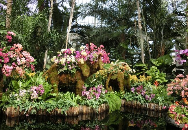 ニューヨーク植物園 クチコミ・アクセス・営業時間 ニューヨーク植物園 クチコミ・アクセス・営業時間