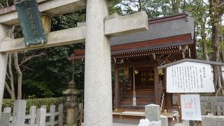 まずは、名前に興味が