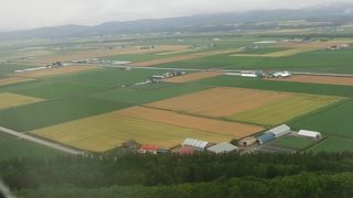 芝生の綺麗な空港