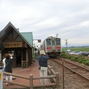 原生花園とインフォメーションセンターに繋がっています