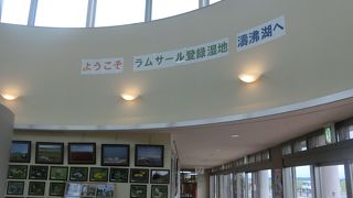 小清水原生花園の前と後ろには濤沸湖と網走海岸がある