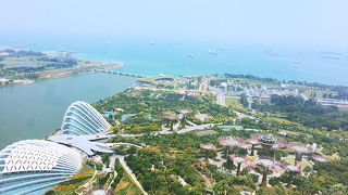 高所恐怖症でも楽しめます