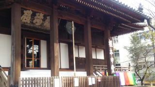 徳川家ゆかりの寺