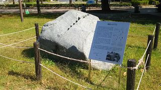 篠島から名古屋市へのプレゼント