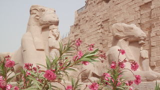 見応え充分の神殿です。