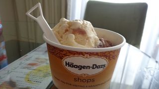 日本にない味を