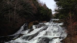 滝下の竜頭ノ滝茶屋から見る眺めが一番楽で見ごたえがあり