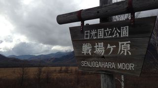 見渡す限り広大な湿地帯