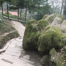 青城山　帰りの下り道