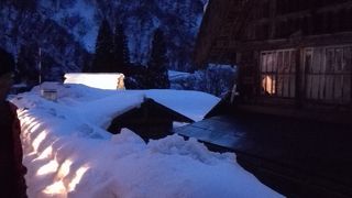 ライトアップに行きました