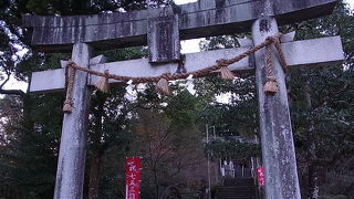 鏑馬(黒髪神社お供日)