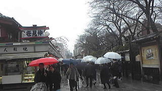 雨だけど、大混雑