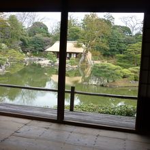 お茶室から見たお庭