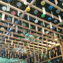 風鈴、壮観です。