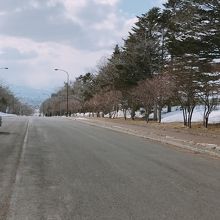 記念塔を背にして駐車場から市内をみる。