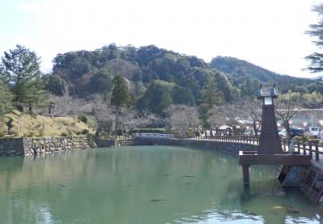 鹿野城跡公園