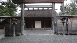 朝早くがおすすめ